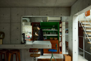 &premium_hashimoto_0020_fin